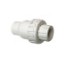 Valve Check Poly 3/4FPT