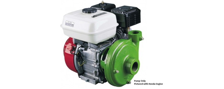 Ace Pump Centrifugal GE-660, GE-660-LE, 61160