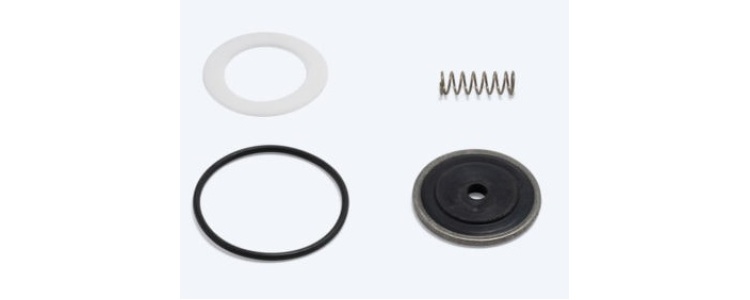 Repair Kit Seal Viton TR 2500