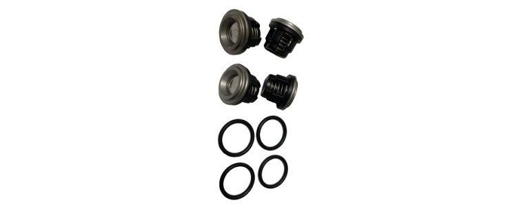 Repair AR30 Valve Kit