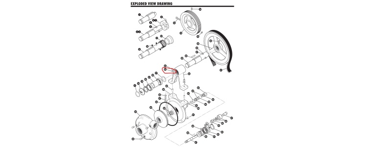 Ace Pumps, Washer, 3/8” locking