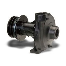 Ace Pumps,PUMP, 1.5 Ace Pumps,PUMP, 1.5