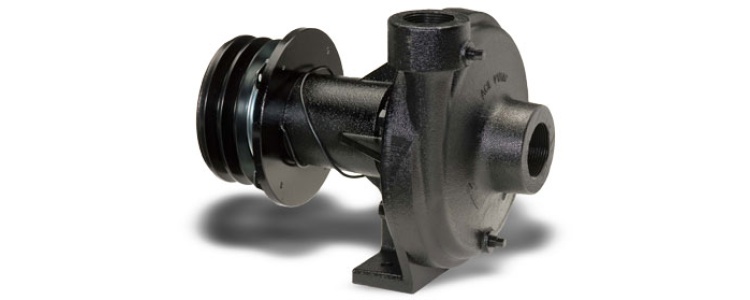 Ace Pumps,PUMP, 1.5 Ace Pumps,PUMP, 1.5