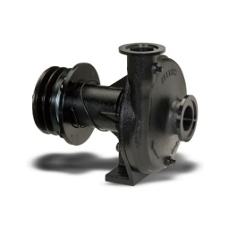 Ace Pumps,PUMP, 1.5 Ace Pumps,PUMP, 1.5