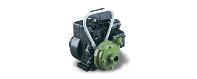 Ace Pumps,PUMP ONLY, ECOAT,GE-100-A LE-EC Ace Pumps,PUMP ONLY, ECOAT,GE-100-A LE-EC