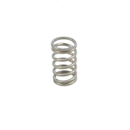 Repair Kit Valve 873, Spring