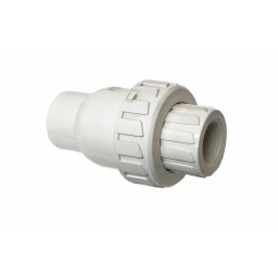 Valve Check Poly 3/4FPT